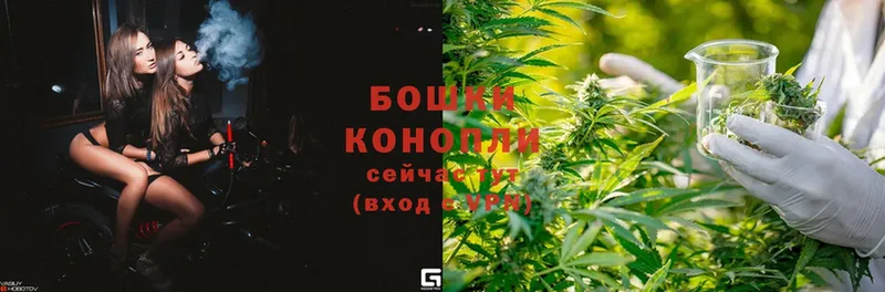 наркотики  Углегорск  Шишки марихуана OG Kush 